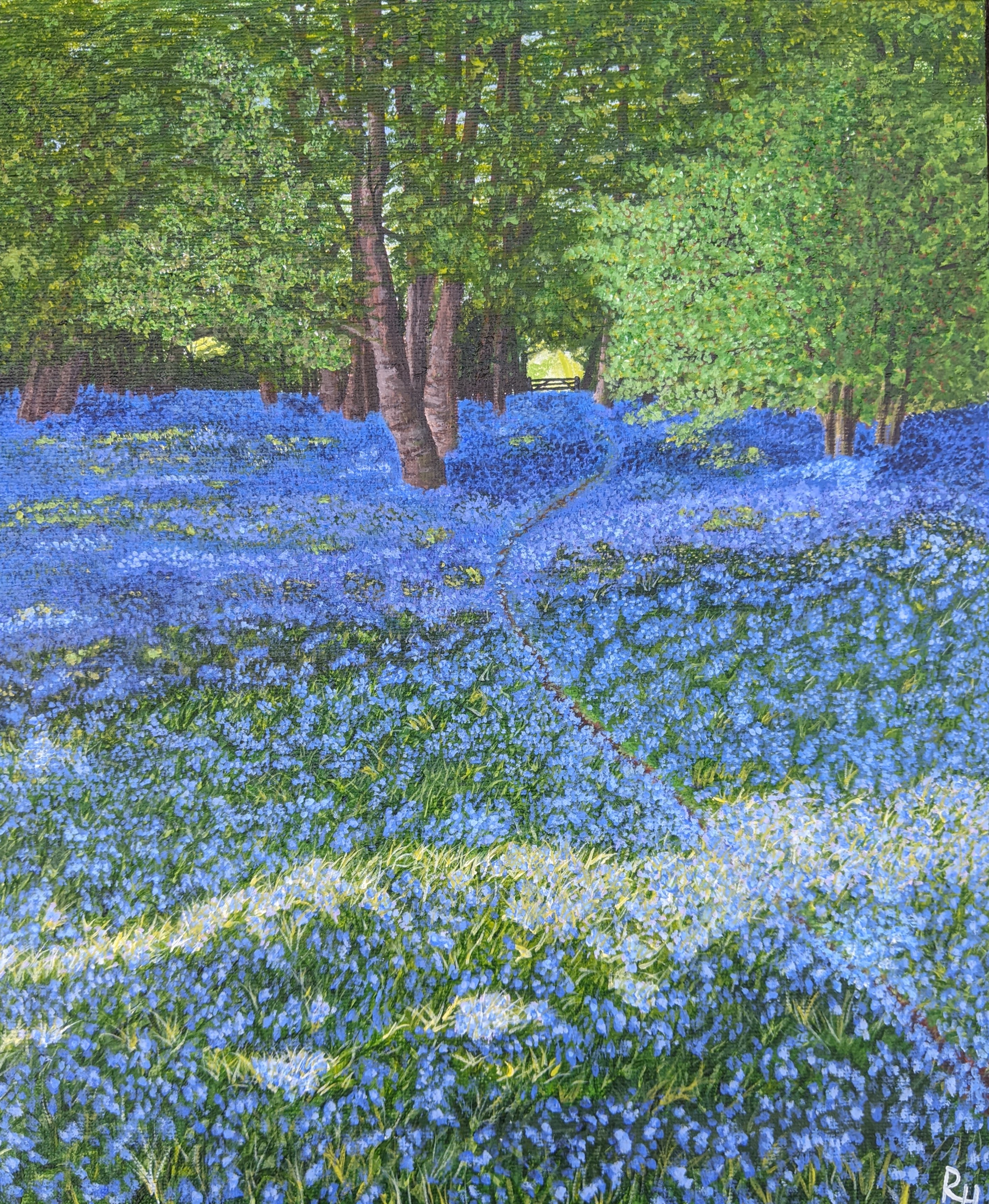 Bluebell Woods