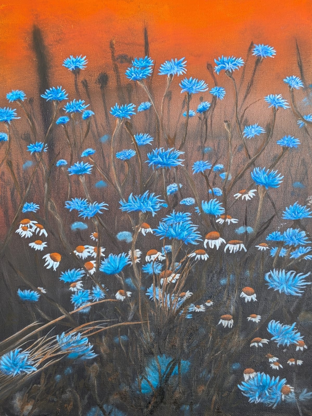 Cornflowers At Dusk