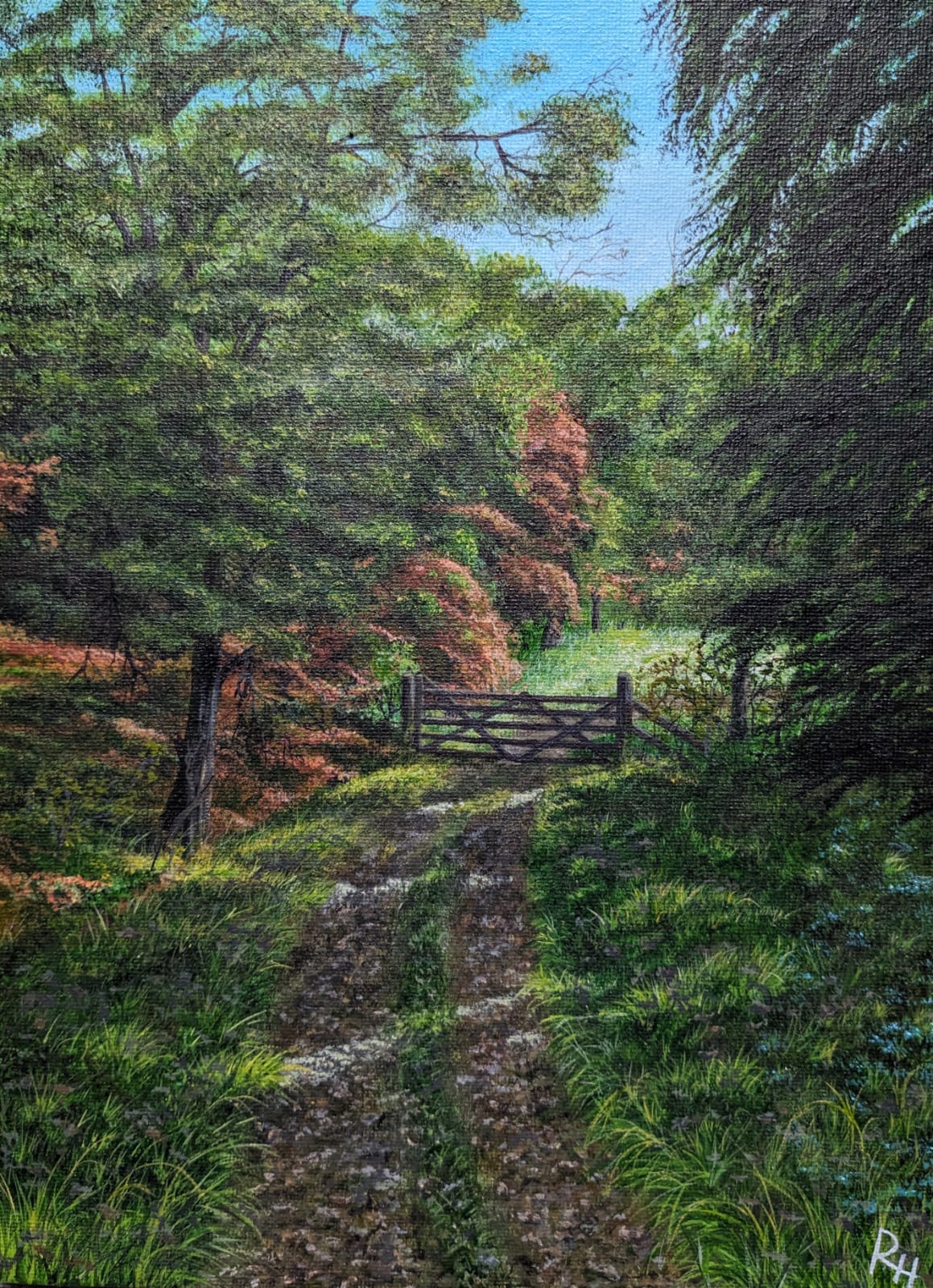 Path In The Woods