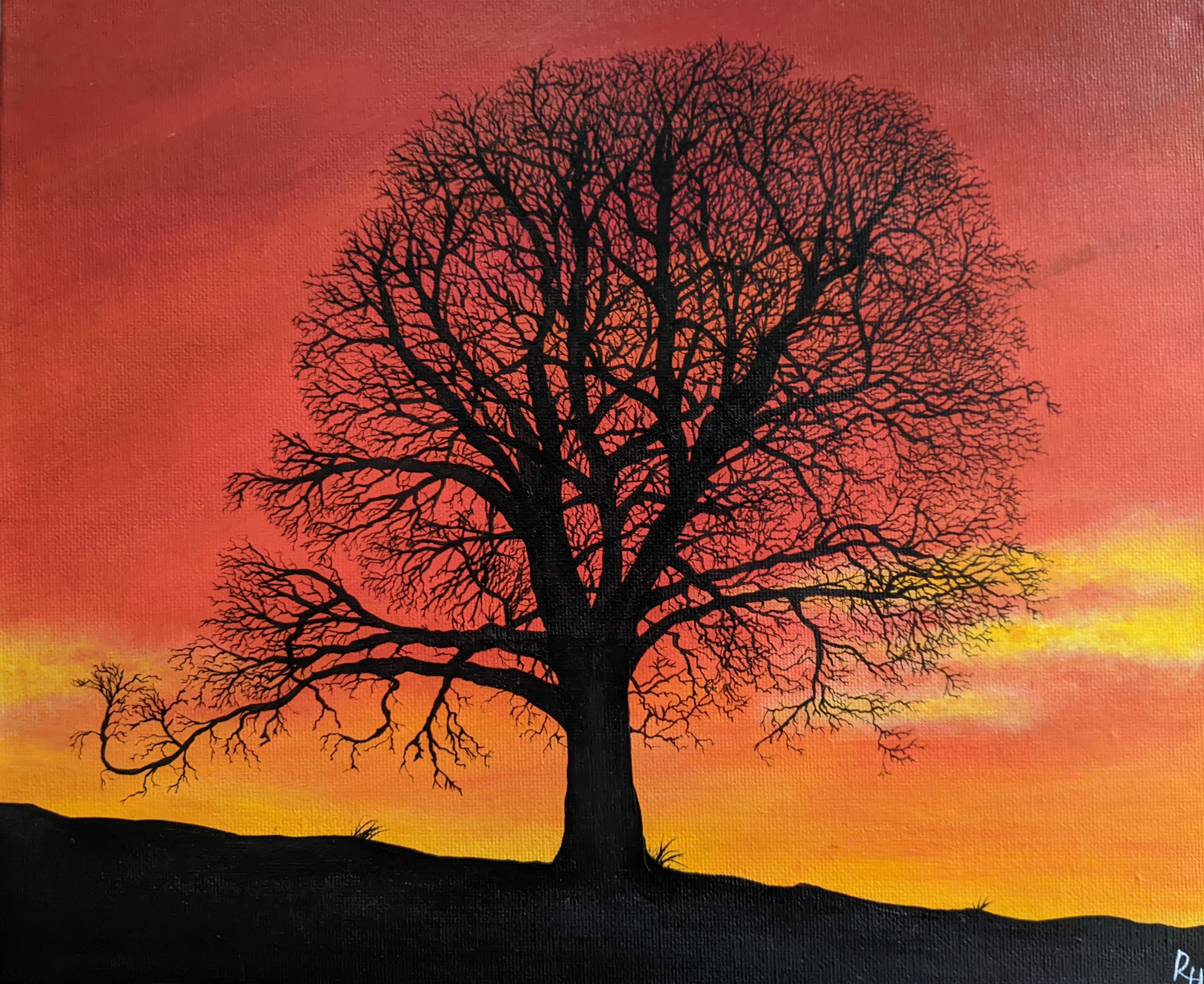 Tree On The Hill